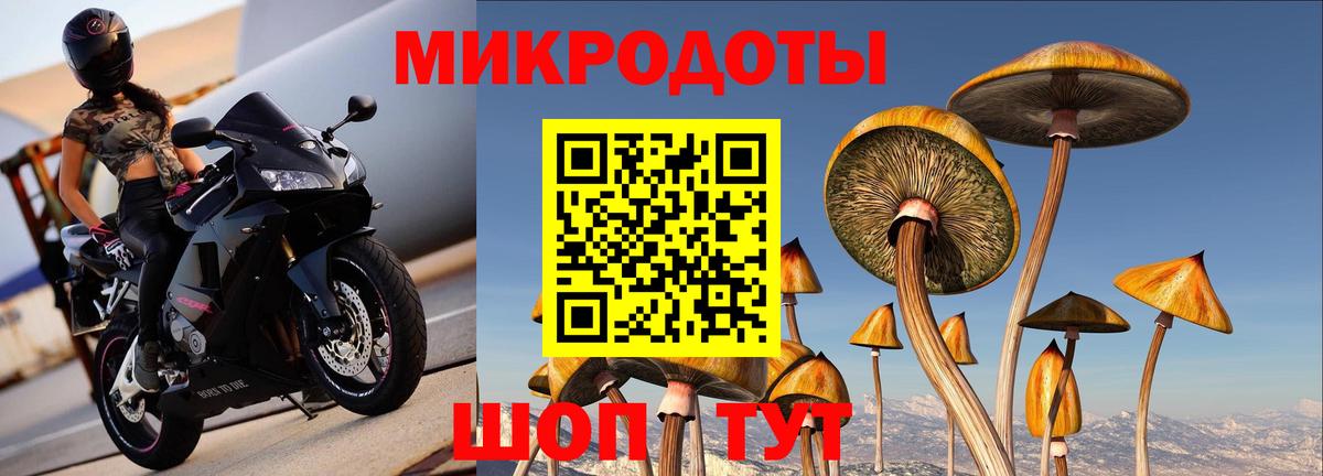 Псилоцибиновые грибы GOLDEN TEACHER  Вход с VPN  Алейск  Псилоцибиновые грибы ЛСД 